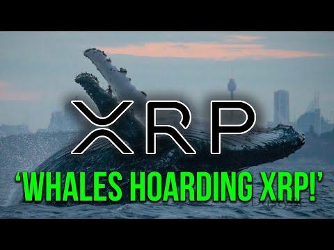 Ripple XRP News: Why Everybody Is Buying XRP Right Now (Secret Millionaire Strategy)