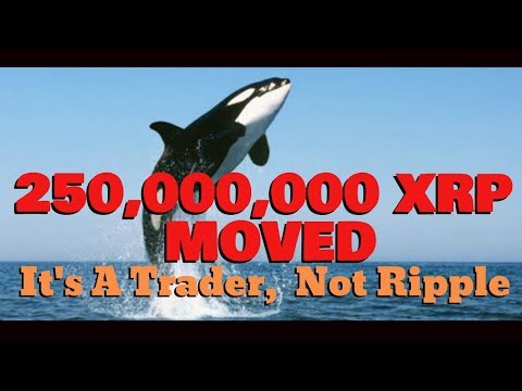 WHALE! 250 Million XRP Moved Amid Price Volatility