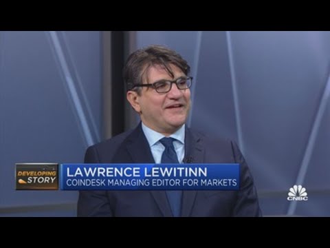 Lewitinn: Crypto is a flock of &quot;black swans&quot;