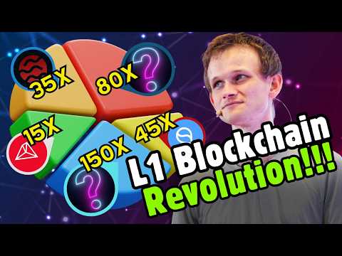 Top 5 Layer 1 Blockchains | The Best Moment to Get In