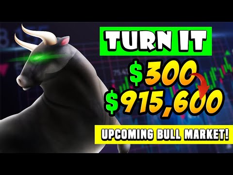 Turn $300 into $915,600 Now in the Upcoming Bull Market!