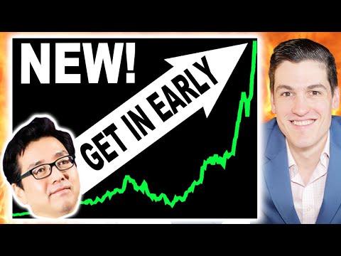 TOM LEE: &quot;THIS 1 STOCK WILL MAKE MILLIONAIRES IN 2025&quot;