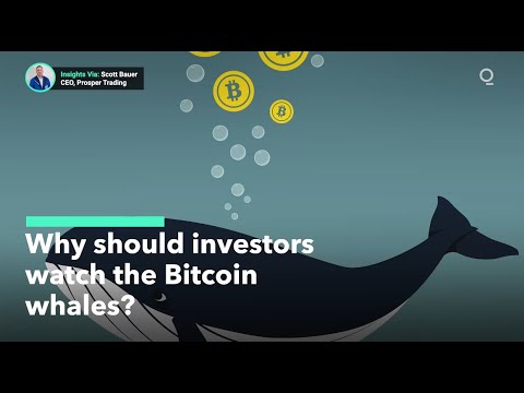 What Is a Bitcoin &quot;Whales&quot; and Why Investors Should Watch Them?