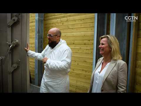 Revolutionizing Battery Recycling: Inside the ReLiB Project at the University of Birmingham