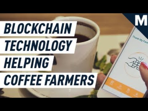 Blockchain Technology Is Helping Farmers Be More Sustainable | Mashable