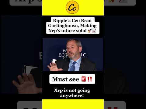 Ripple CEO Brad Garlinghouse on XRP FUTURE! #xrp #shorts #btc #crypto