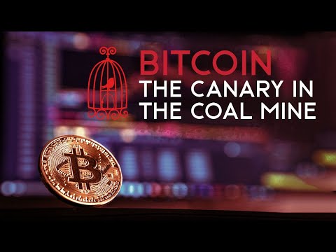 Bitcoin - Canary in the Coal Mine