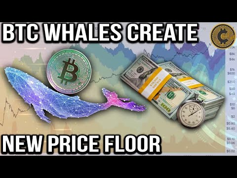 Cultivate Crypto #350: Bitcoin Whales Create New Price Floor. Will It Hold? + $55,000 BTC