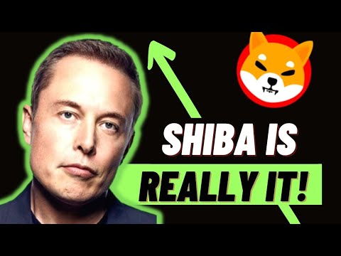 ONLY $1000 SHIBA INU COINS CAN MAKE YOU RICH! THIS IS HOW, SHIBA INU COIN NEWS EXPLAINED