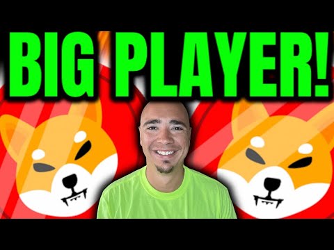 SHIBA INU - ANOTHER BIG PLAYER!