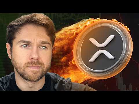 Ripple Explained: What You Need to Know About XRP, RLUSD, and Ripple’s $25M Power Play