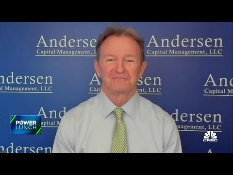 Cybersecurity stocks are less risky tech stocks, says Andersen Capital Management CIO