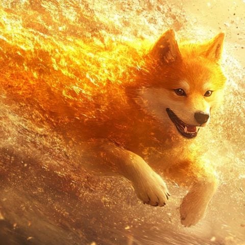 Astonishing Potential: Crypto Enthusiast Foresees Massive Dogecoin Rally